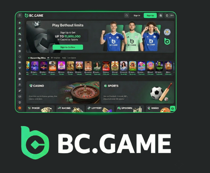 Ultimate Guide to BC.Game Mirrors for Players -417961385